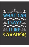 What Can I Say? I Like Cavador