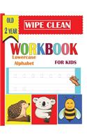 wipe clean workbook Lowercase Alphabet for kids old 2 year