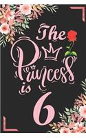 The Princess Is 6