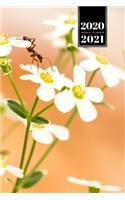 Ant Insect Myrmecology Week Planner Weekly Organizer Calendar 2020 / 2021 - Climbing on Flower