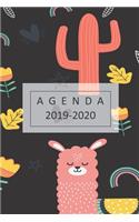 agenda 2019-2020: lindo planificador 2019-2020 del 1 de julio del 2019 al 31 de diciembre del 2020 diario semanal mensual