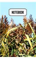 Notebook: Idéal pour vos prises de notes, votre carnet vous permettra de ne rien oublier - Original & pratique de 110 pages lignées