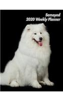 Samoyed 2020 Weekly Planner