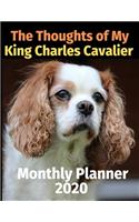 The Thoughts of My King Charles Cavalier