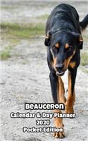 Beauceron Calendar & Day Planner 2020 Pocket Edition