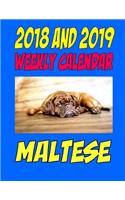 2018 and 2019 Wall Calendar Maltese