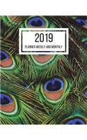 2019 Planner Weekly and Monthly: January to December 2019 Planner - 8 x 10 Inches - Paperback(58 52 Week Planner)