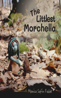 Littlest Morchella