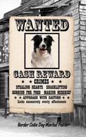 Border Collie Dog Wanted Poster: Handwriting Practice Paper for Kids Notebook with Dotted Lined Sheets for K-3 Students Featuring 120 Pages 6x9