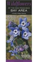 Wildflowers of the San Francisco Bay Area