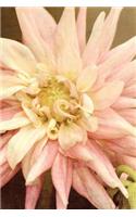 Pale Pink Dahlia - Lined Notebook with Margins: 101 Pages, Medium Ruled, 6 x 9 Journal, Soft Cover