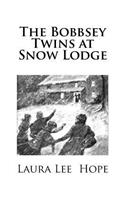 The Bobbsey Twins at Snow Lodge