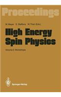 High Energy Spin Physics