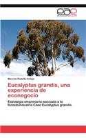 Eucalyptus Grandis, Una Experiencia de Econegocio