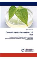 Genetic Transformation of Rice