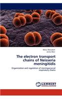 Electron Transport Chains of Neisseria Meningitidis