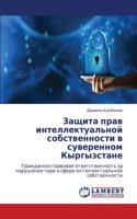 &#1047;&#1072;&#1097;&#1080;&#1090;&#1072; &#1087;&#1088;&#1072;&#1074; &#1080;&#1085;&#1090;&#1077;&#1083;&#1083;&#1077;&#1082;&#1090;&#1091;&#1072;&#1083;&#1100;&#1085;&#1086;&#1081; &#1089;&#1086;&#1073;&#1089;&#1090;&#1074;&#1077;&#1085;&#1085;