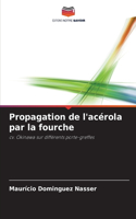 Propagation de l'acérola par la fourche