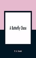 A Butterfly Chase