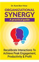 Organizational Synergy - A Practical Guide