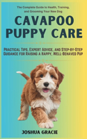 Cavapoo Puppy Care