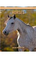 Horses: Amazing Pictures & Fun Facts about Horses for Children