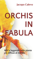 Orchis in Fabula: Miti e leggende sulle piante più diffuse al mondo