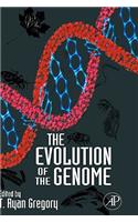 Evolution of the Genome