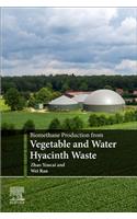 Biomethane Production from Vegetable and Water Hyacinth Waste