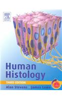 Human Histology