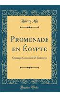 Promenade En Ã?gypte: Ouvrage Contenant 28 Gravures (Classic Reprint)