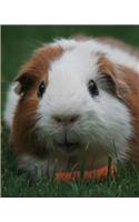 Guinea Pig Yearly Planner