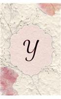 Y