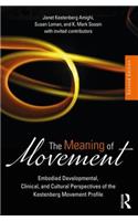 The Meaning of Movement