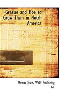 Grasses and Hoe to Grow Them in Notrh America