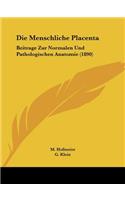 Menschliche Placenta