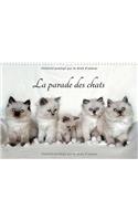 La Parade Des Chats 2017
