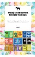 Brittany Spaniel 20 Selfie Milestone Challenges Brittany Spaniel Milestones for Memorable Moments, Socialization, Indoor & Outdoor Fun, Training Volume 3