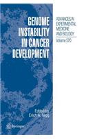 Genome Instability in Cancer Development