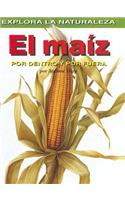 Maiz: Por Dentro Y Por Fuera (Corn: Inside and Out)