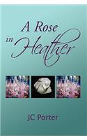 A Rose in Heather: (English)