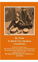Auschwitz - By Train To Birch Tree Meadow