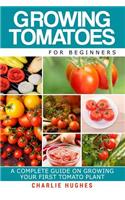 Growing Tomatoes for Beginners