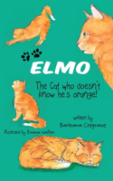 Elmo the Cat Who Doesn't Know He's Orange