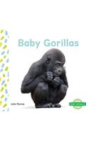 Baby Gorillas