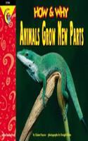 How and Why Animals Grow New Parts