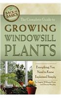 The Complete Guide to Growing Windowsill Plants