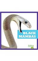 Black Mambas