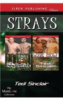 Strays [The Ugly Wolfling: Lone Wolf] (Siren Publishing Classic Manlove)