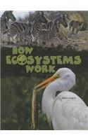 How Ecosystems Work: (My Science Library, 3-4)